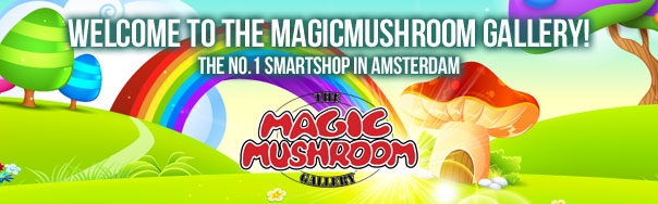 Magic Mushroom Gallery